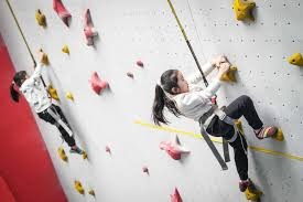 博彩业ESG投资基金规模突破50亿美元